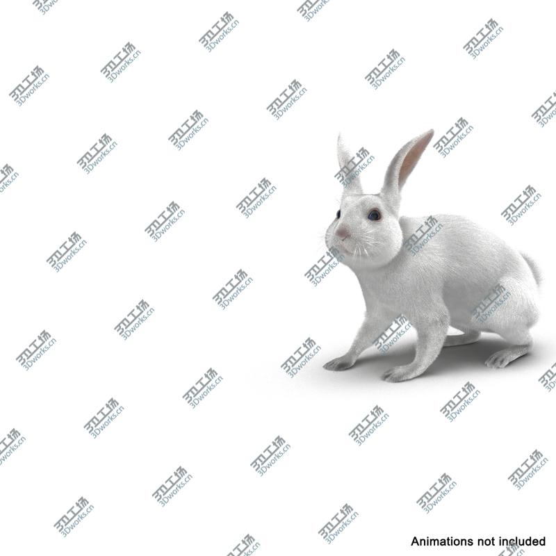 images/goods_img/2021040165/White Rabbit Rigged/4.jpg